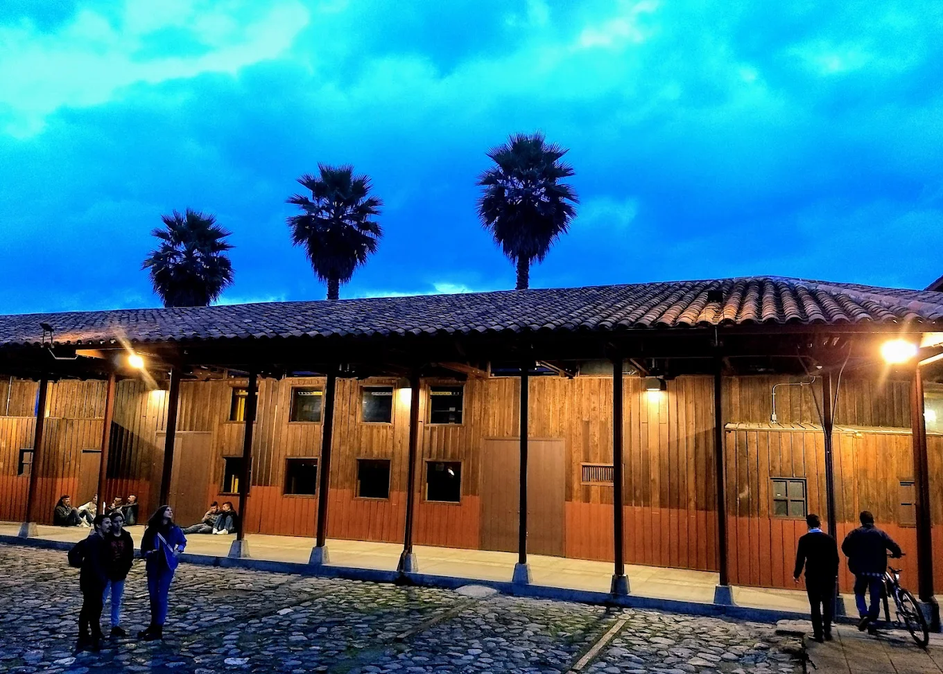 Universidad Nacional de Colombia - Facultad de Arquitectura - Sede Manizales