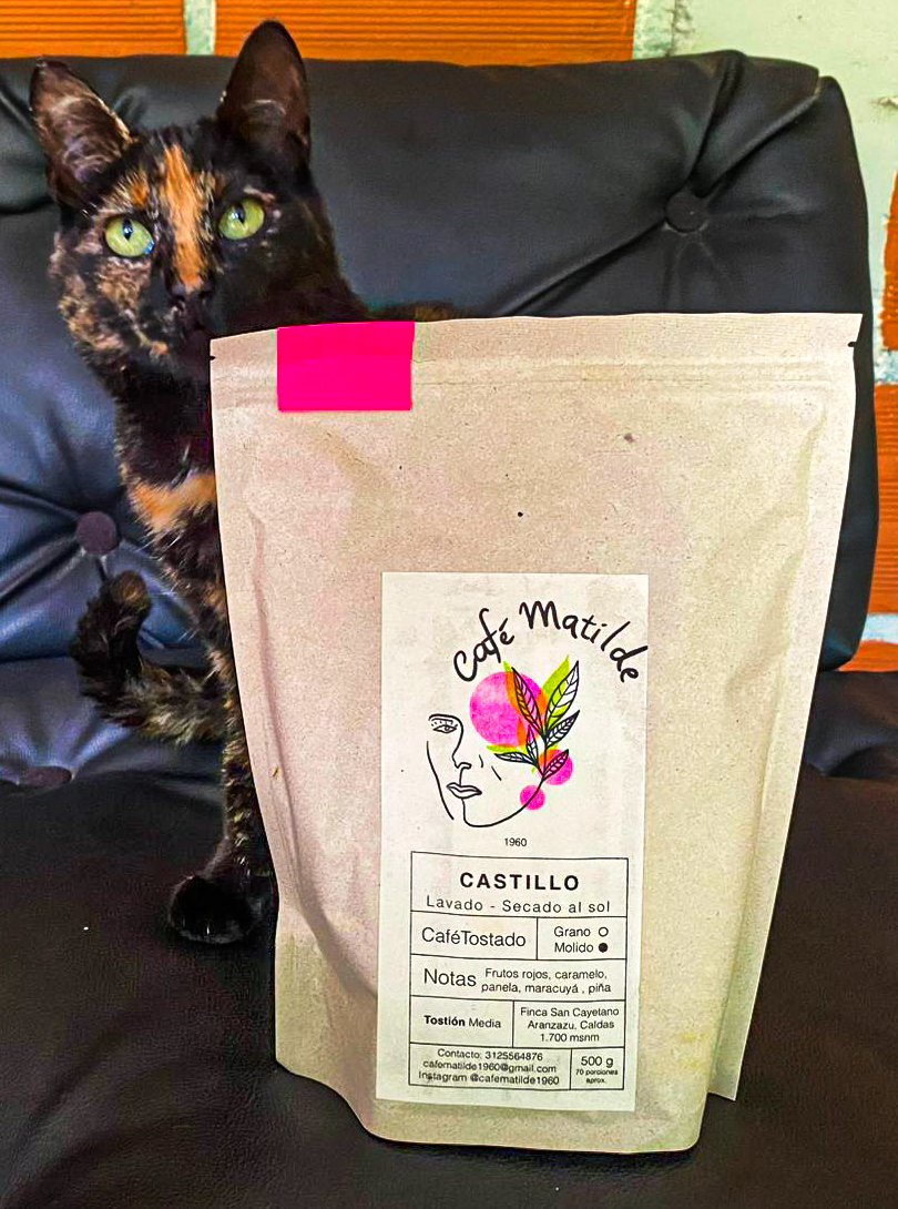 Café Matilde y gato