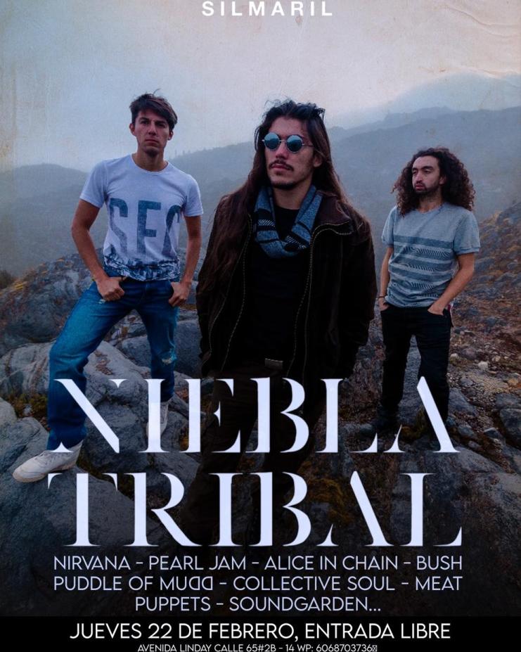 Niebla Tribal. Tributo Grunge, Manizales. Nevado del Ruiz. Bandas y artistas de manizales