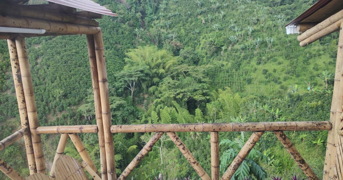 Vista de cabaña de bambú