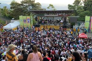 Media Torta de Chipre - Manizales